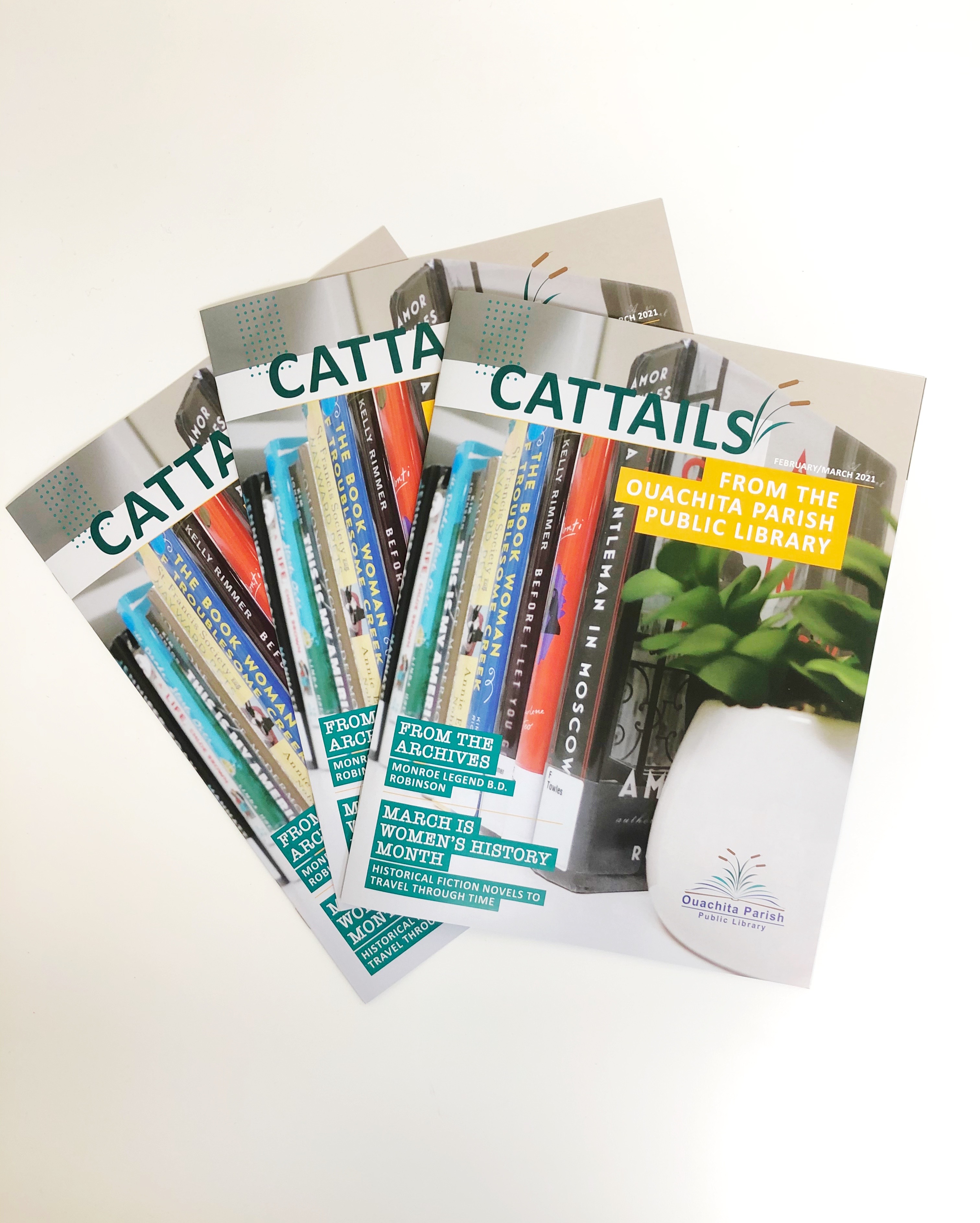 three issues of the February/March Cattails newsletter lay on a white table