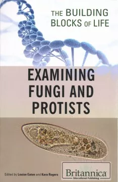 Examining fungi and protists cover